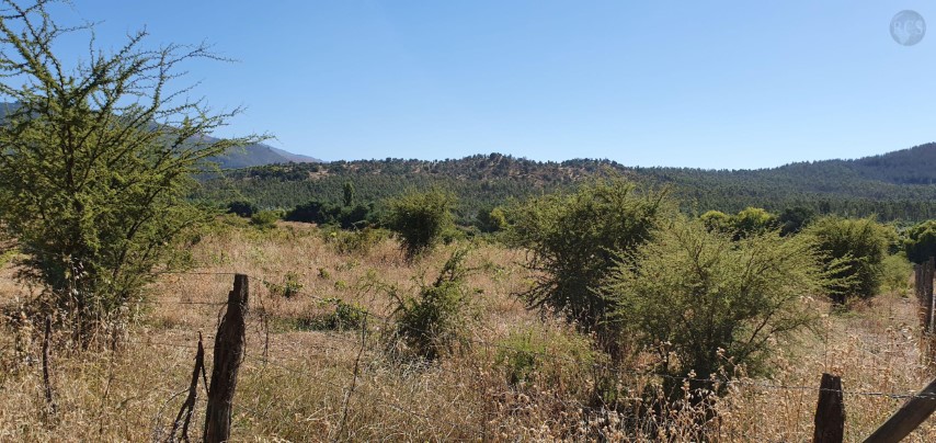 Vendo gran fundo de 780 hectareas a 25 kilometros de San Javier